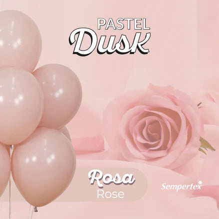 Pastel Mate Dusk Rosa R18 x50 Unidades